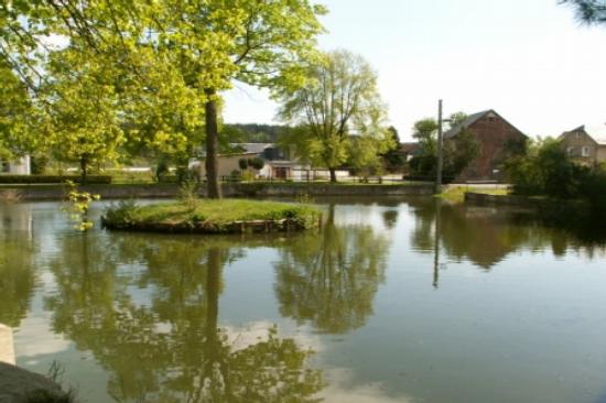 Der Dorfteich mit der Insel